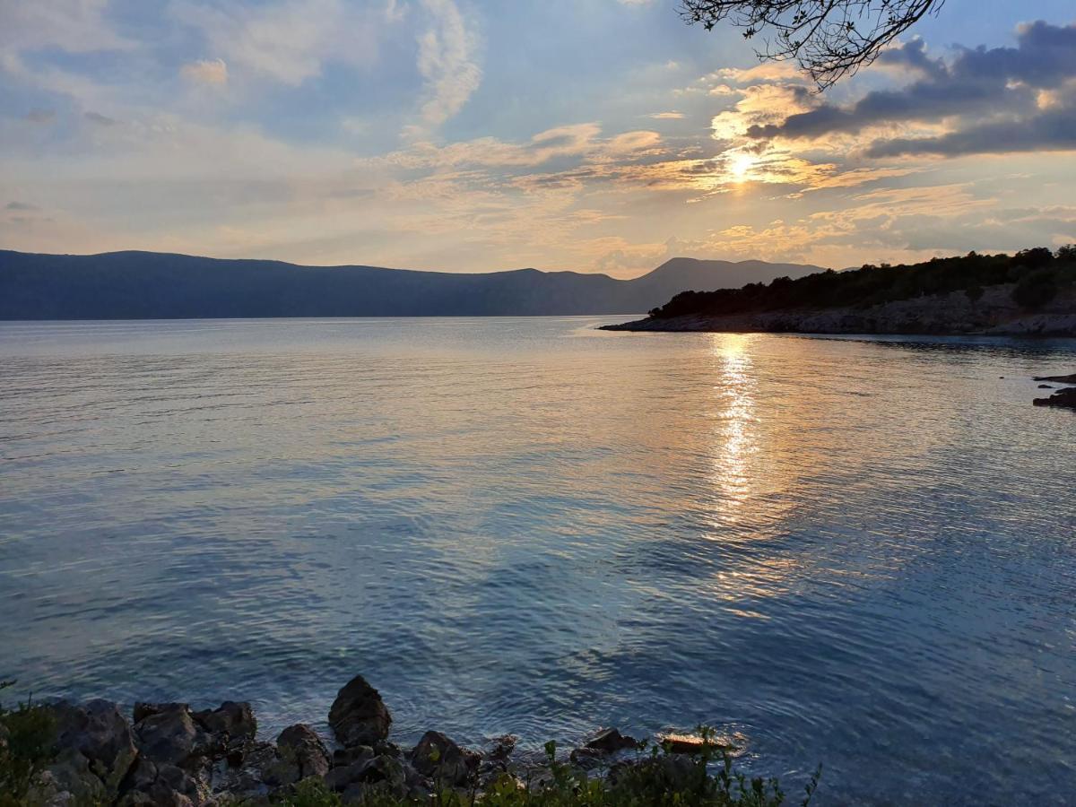 Villa Diny With Pool Pinezići Buitenkant foto