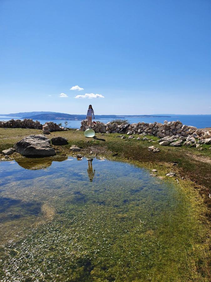 Villa Diny With Pool Pinezići Buitenkant foto