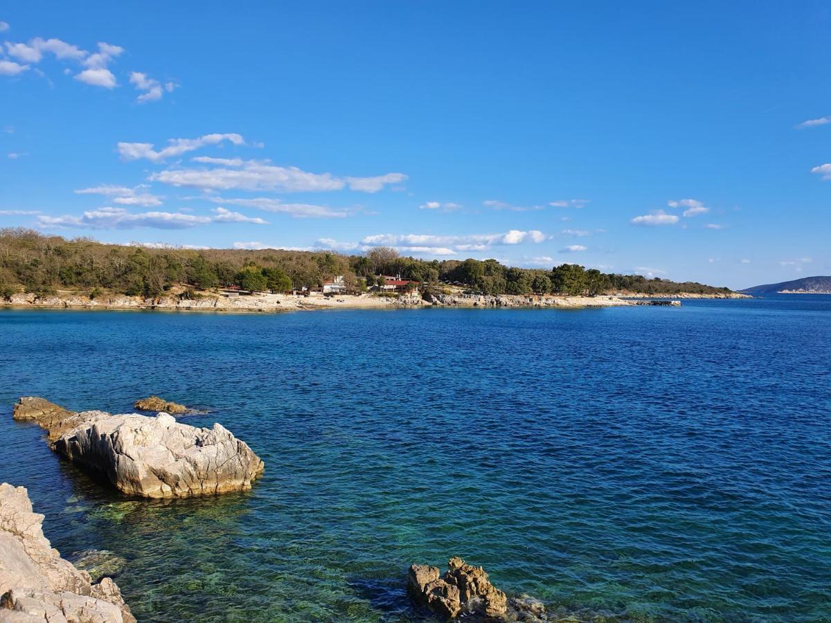 Villa Diny With Pool Pinezići Buitenkant foto